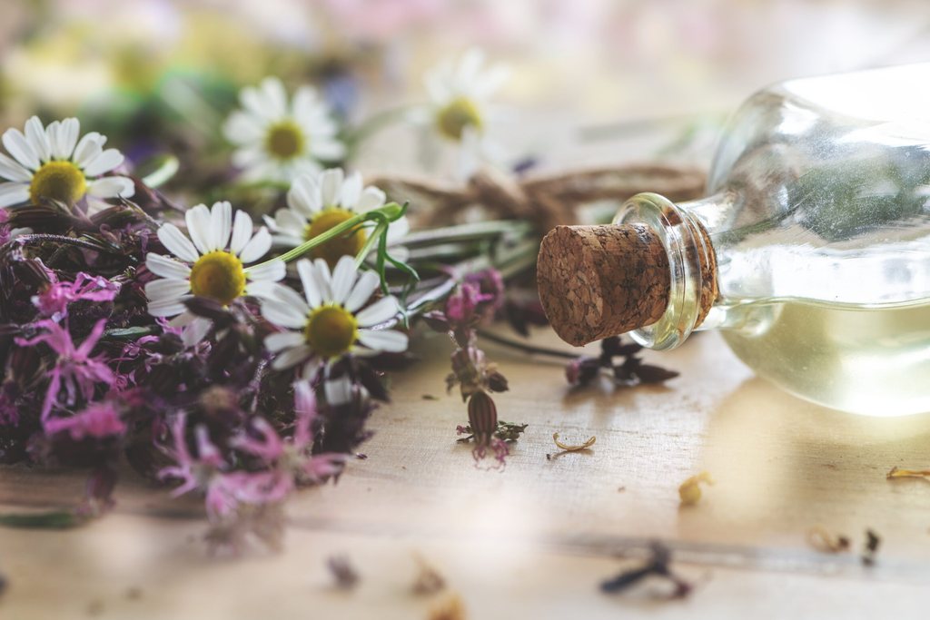 Kamillenblüten und Pflanzenöl für Spülungen und Lösungen in der Zahnheilkunde